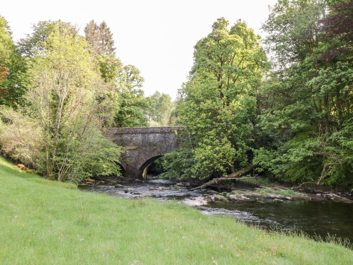 Maisie'S Cottage دانبلين المظهر الخارجي الصورة